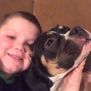 Meet your Posher, David